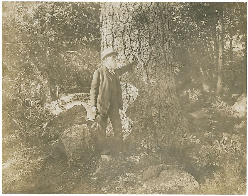 John Muir (circa 1908).