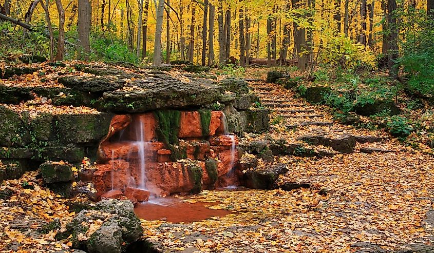 A Natural Spring With Stone Stairway And Path Through A Forest Ablaze With The Colors Of Autumn, Glen Helen Nature Preserve; Yellow Springs, Ohio.