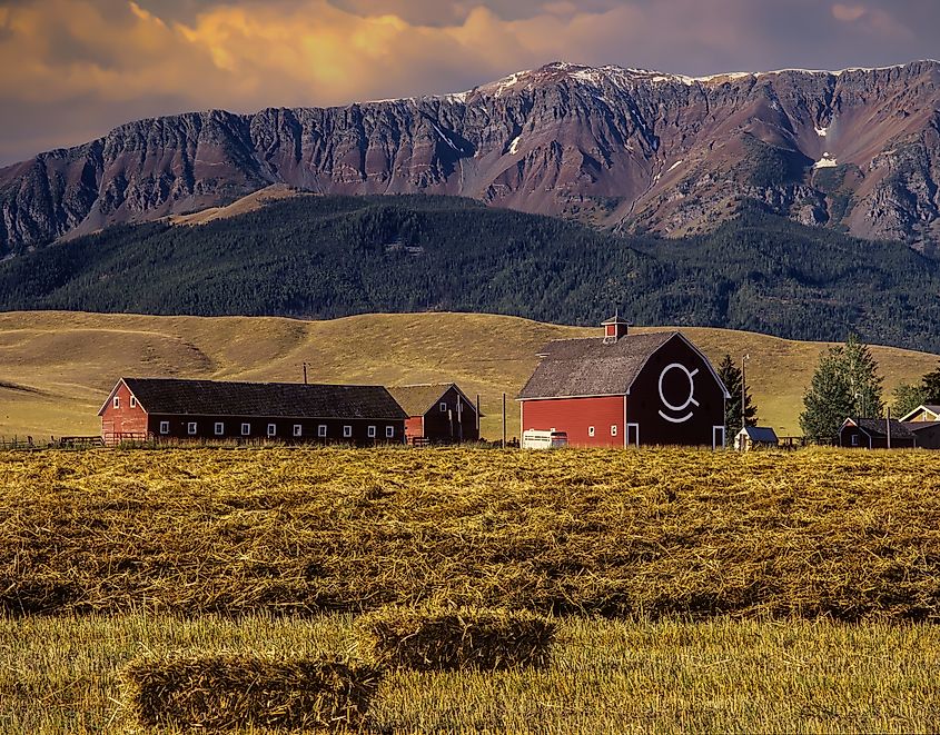 Red barn and hay field in Wallowa County, near Joseph, Oregon