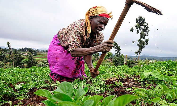 subsistence farming definition