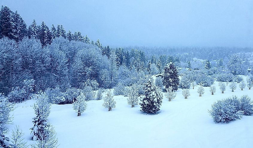 Cle Elum Washington State I-90 in the winter