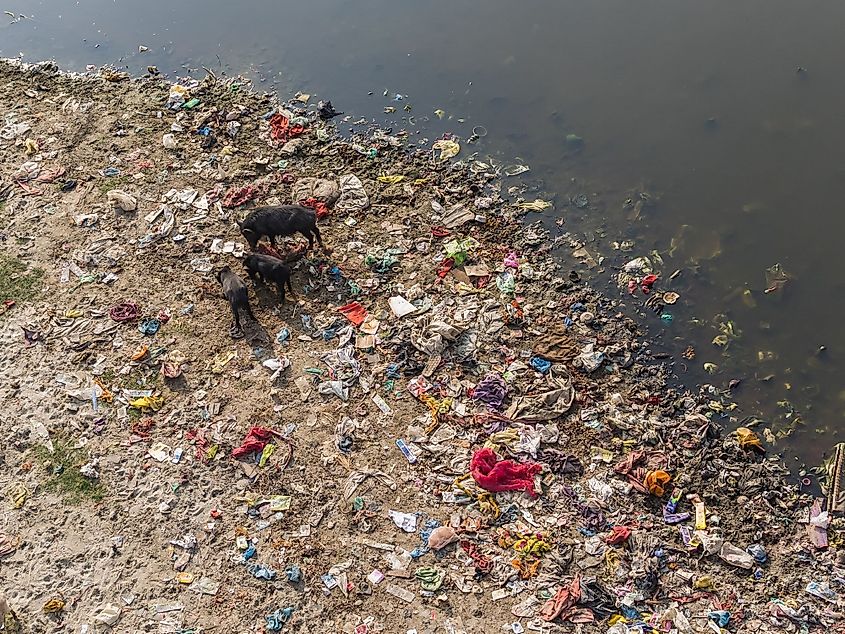 The River Ganges