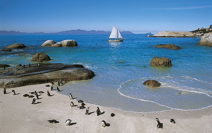 Boulders Beach South Africa