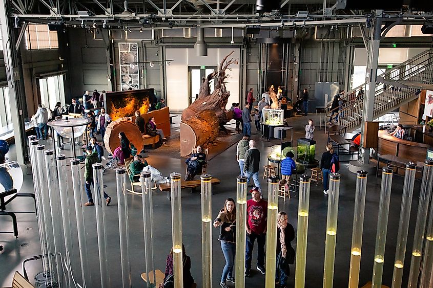exhibition inside Exploratorium, a museum of science, technology, and arts founded by physicist and educator Frank Oppenheimer. Editorial credit: bluestork / Shutterstock.com