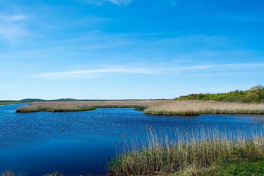 Landscape view of Great Meadows National Wildlife Refuge with open wetlands, tall grasses, and distant tree lines under a wide sky
