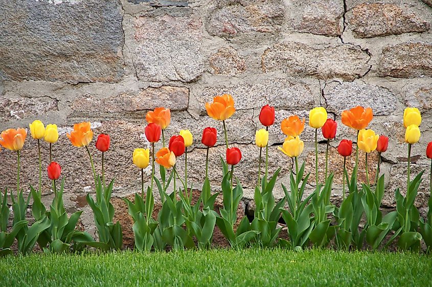 East Greenwich, Rhode Island/USA. Editorial credit: Carol Ann Mossa / Shutterstock.com