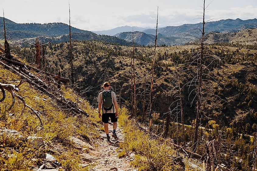 A hiker on a trail in Poudre Canyon, Colorado.
