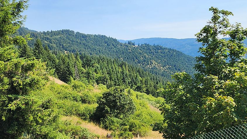 rolling mountain forests and open space in Humboldt County California