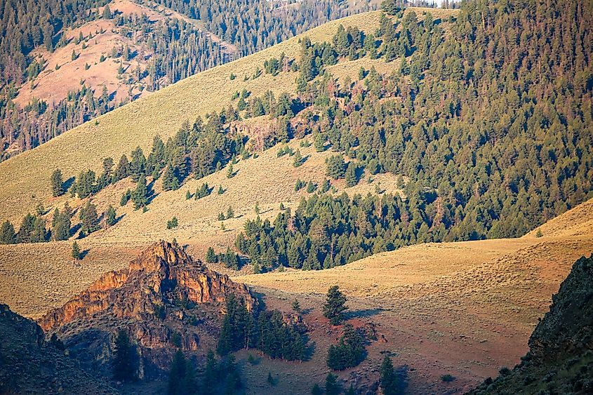 Salmon River mountains near Challis, Idaho in summer.