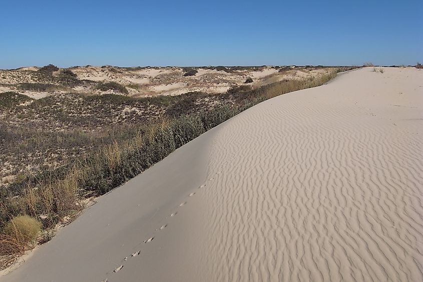 Monahans Sandhills State Park, Texas