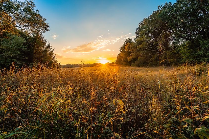 Katy Trail State Park