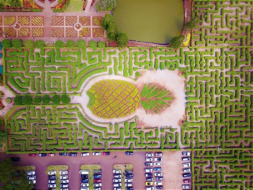 Pineapple Garden Maze at Hawaii