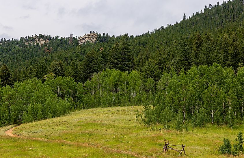 Scenic Landscape in Golden Gate Canyon State Park near Golden, Colorado.