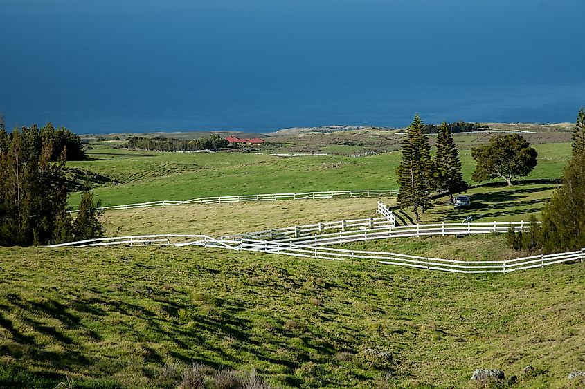 View of the Parker Ranch on the Big Island, Hawaii.