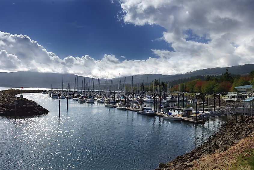 Sequim, Washington Marina Filled with Boats