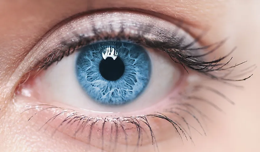 Are there eye colours that are rare?