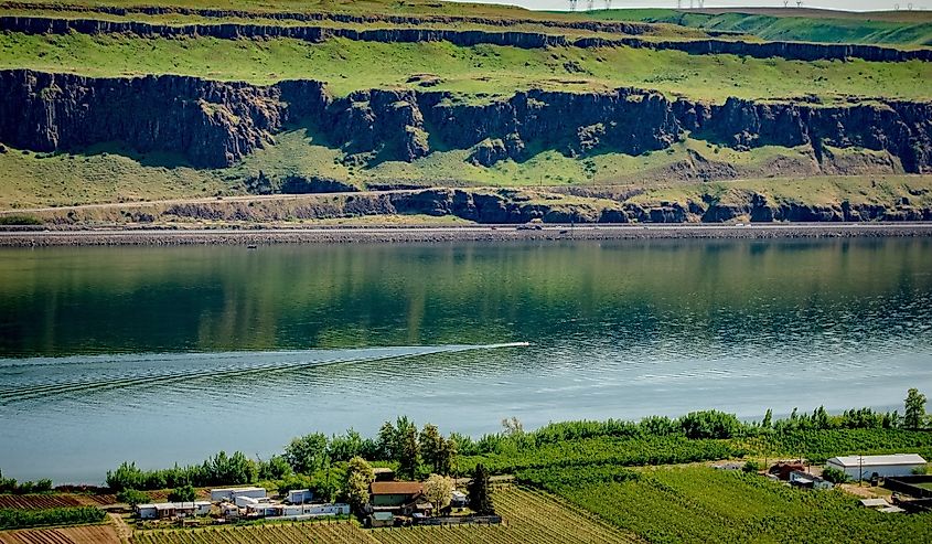 Vineyards along the Washington side of the Columbia River near Goldendale Washington