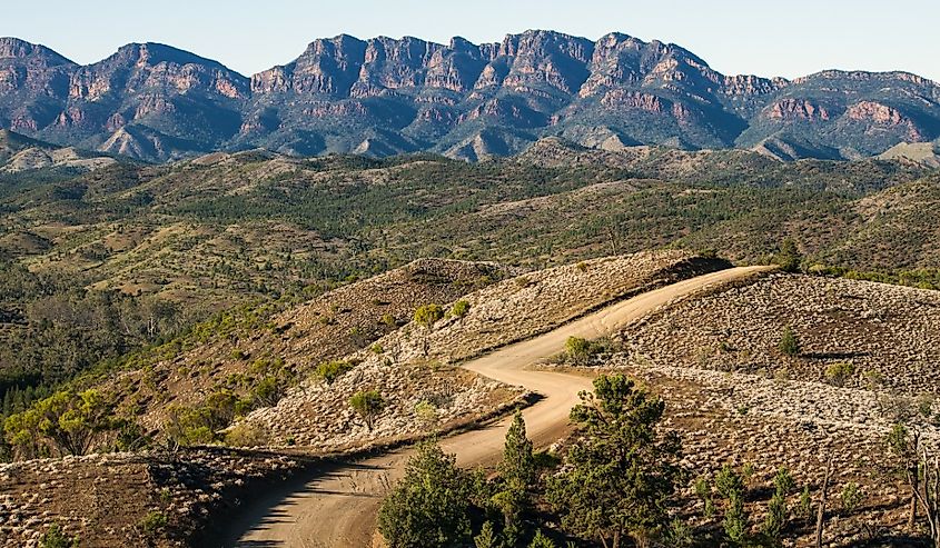 A gravel road weaves across rolling countryside toward the ramparts of Wilpena Pound in South Australia's Flinders Ranges.
