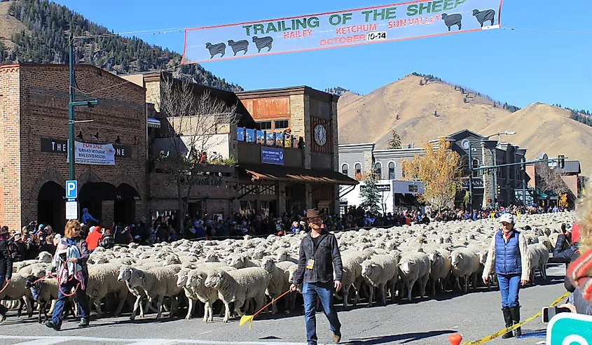 The Trailing of the Sheep Festival in Ketchum, Idaho. 
