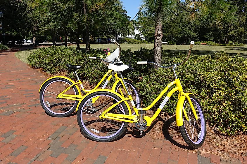 Yellow bicycles in a park in Pinehurst, North Carolina.