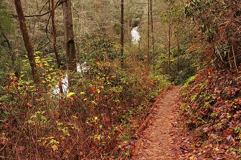 Trail to Helton Creek Falls in the Chattahoochee-Oconee National Forest, Georgia