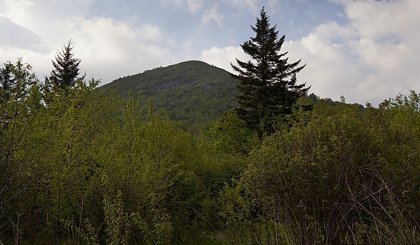 Sam's Knob in the Black Balsam area off the Blue Ridge Parkway in Western North Carolina.