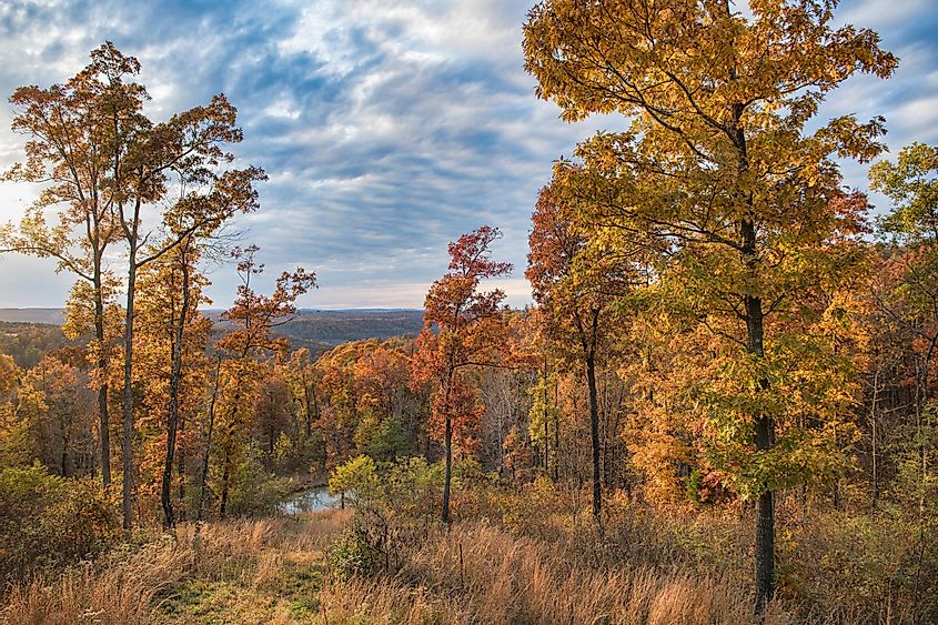 The beautiful Ozark National Forest in Arkansas.