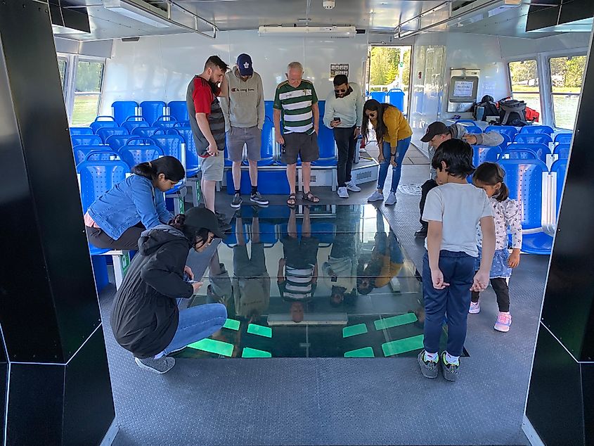A group of people standing around the perimeter of a glass-bottom boat, excitedly gazing at the sunken ships below. 