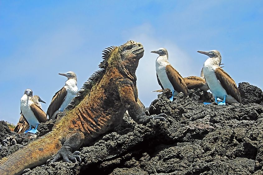 Galapagos National Park