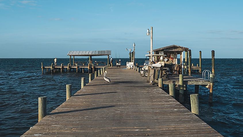 Pelican and fishermen on Bokeelia Pier in Pine Island, Florida
