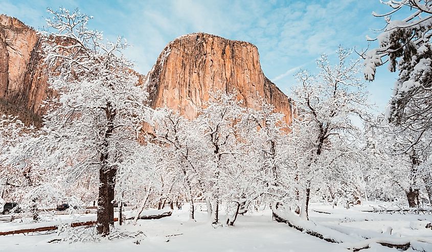 A beautiful view of rocky cliffs with snow trees ground against a cloudy blue sky in Yosemite National Park in California.