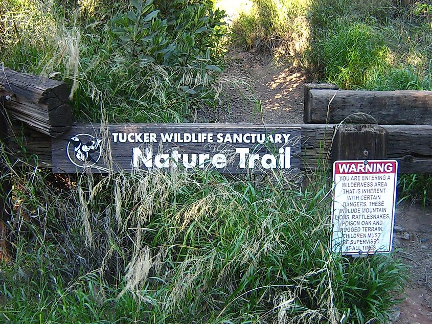 Tucker wildlife sanctuary