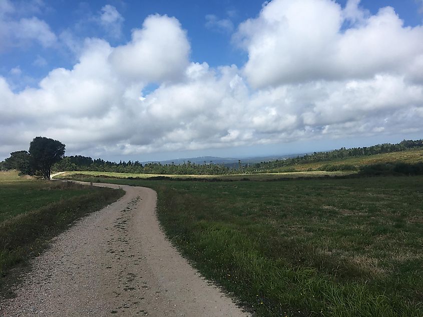 An asphalt path leads off into a verdant countryside.