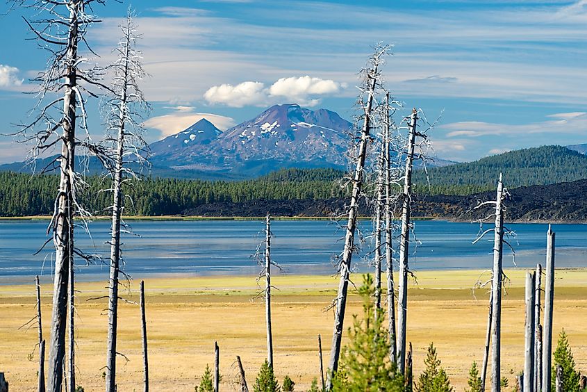 Davis Lake, Cascade Lakes Scenic Byway (Gary Halvorson, Oregon State Archives / Cc-by-4.0, CC BY 4.0 <https://creativecommons.org/licenses/by/4.0>, via Wikimedia Commons)
