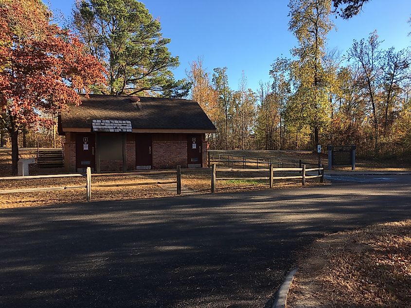 Tombigbee National Forest in Ackerman, Mississippi.