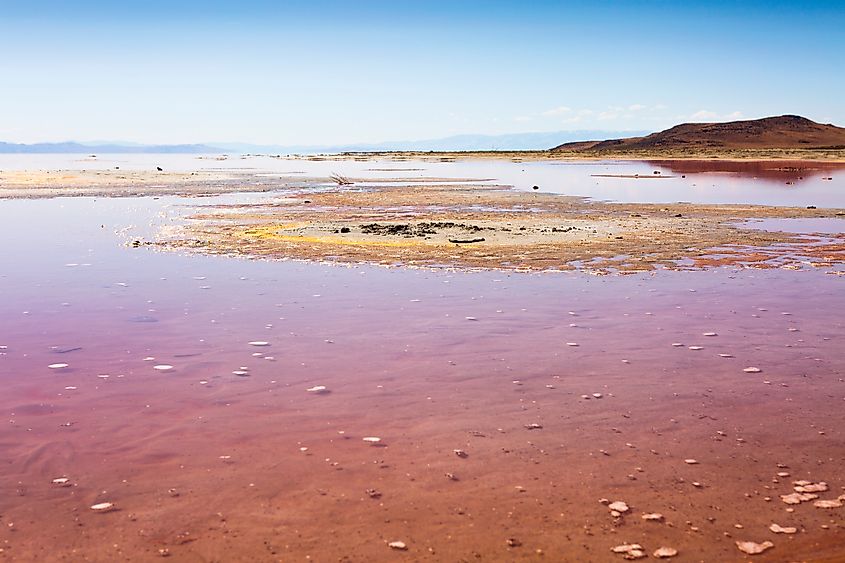 Pink color in the Great Salt Lake of Utah, USA.