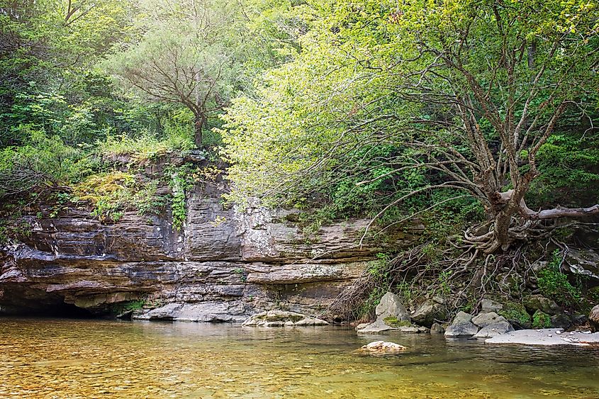 Gunner Pool, Mountain View, Arkansas.