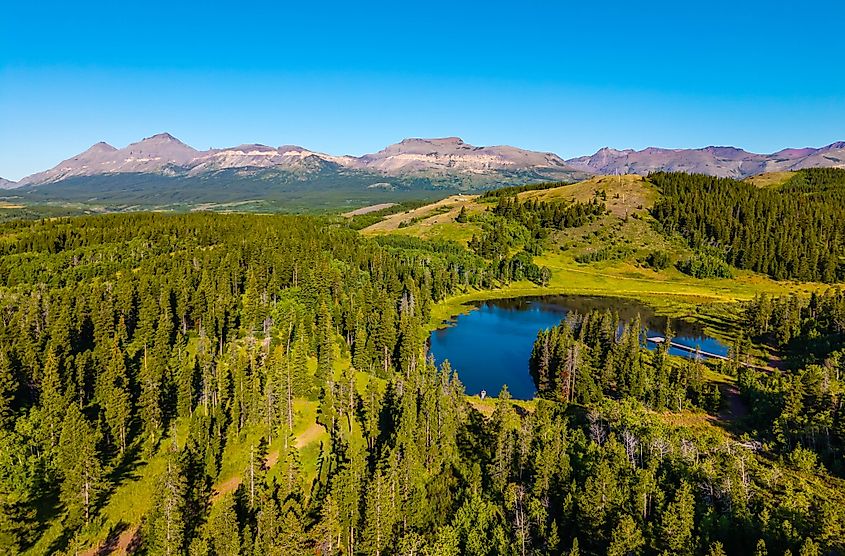 The vast and remote wilderness of the Flathead National Forest