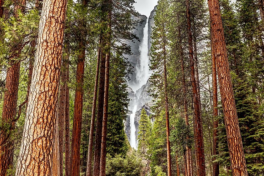 yosemite falls