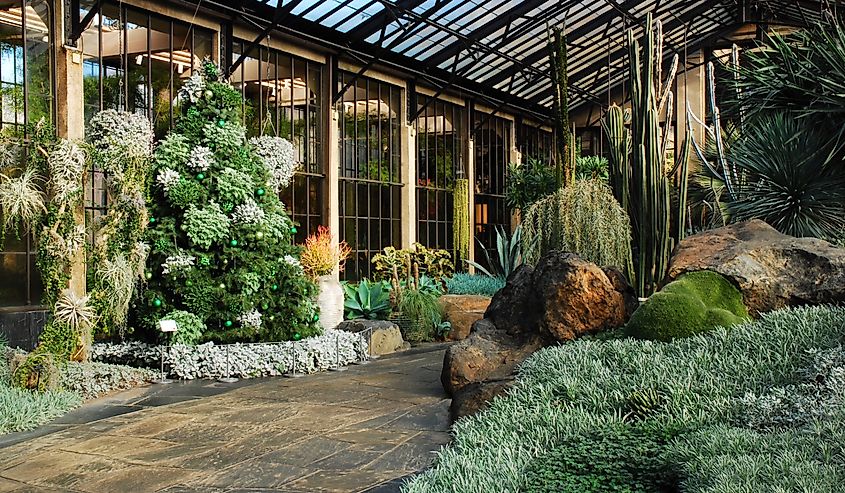 The plants of the American southwest are on display in a special greenhouse of Longwood Gardens in Kennett Square,