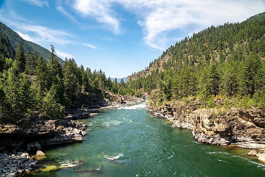 The Kootenai River in the Kootenai National Forest near Libby, Montana.