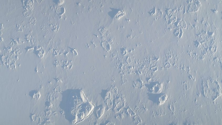 Antarctic snow covered Desert top down aerial view.
