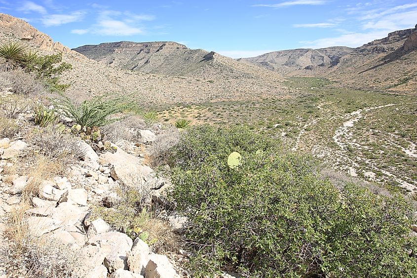 Slaughter Canyon in Carlsbad Caverns National Park, New Mexico, USA.