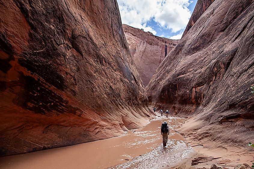 Halls Creek Narrows Slot Canyon Hike in Capitol Reef National Park, Utah.