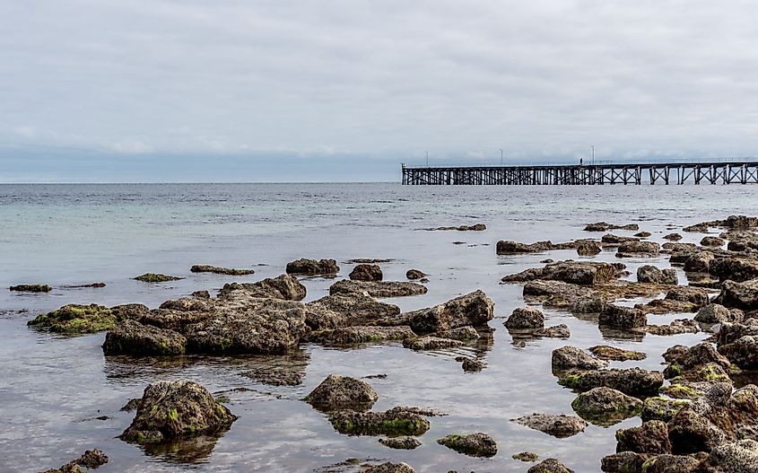 Rocky coastline of Spencer Gulf