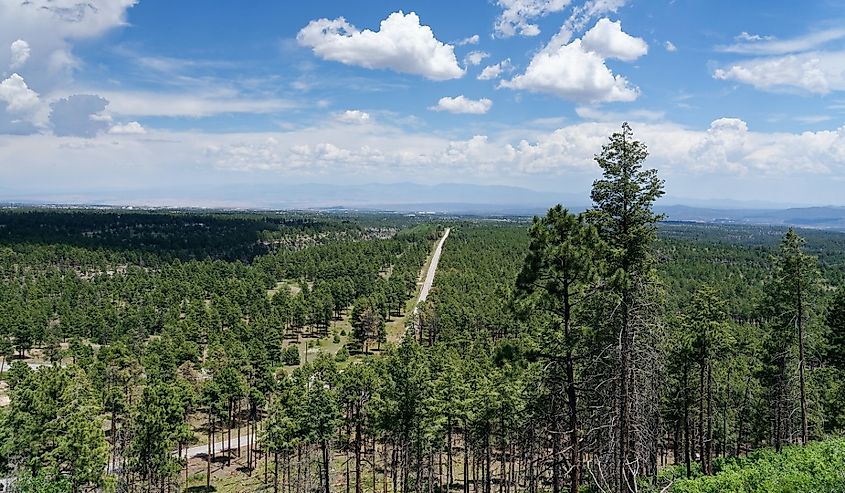 Jemez Mountain Trail National Scenic Byway near Jemez Springs, New Mexico.