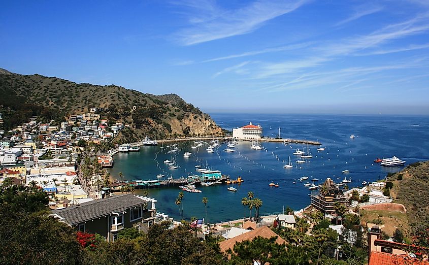 View from above of the bay and casino, Avalon, Santa Catalina Island, California