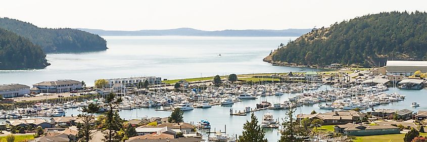 Panorama Photo of Anacortes Marina, Puget Sound and the San Juan Islands from Anacortes