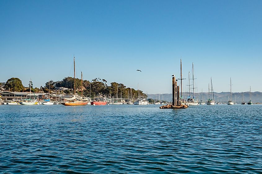 Morro Bay harbor, California. Sailing boats and floating dock, via HannaTor / Shutterstock.com