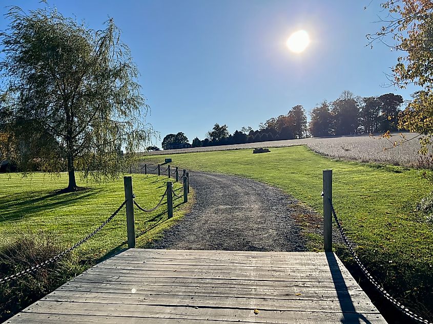 Entering a vineyard in Westminster, Maryland.